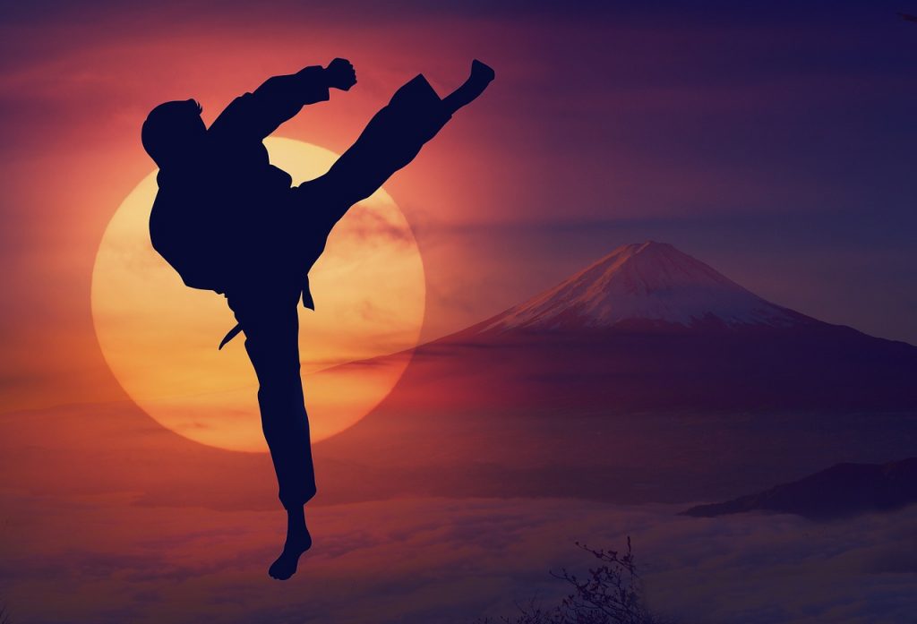 karate, sun, mountain-4082019.jpg